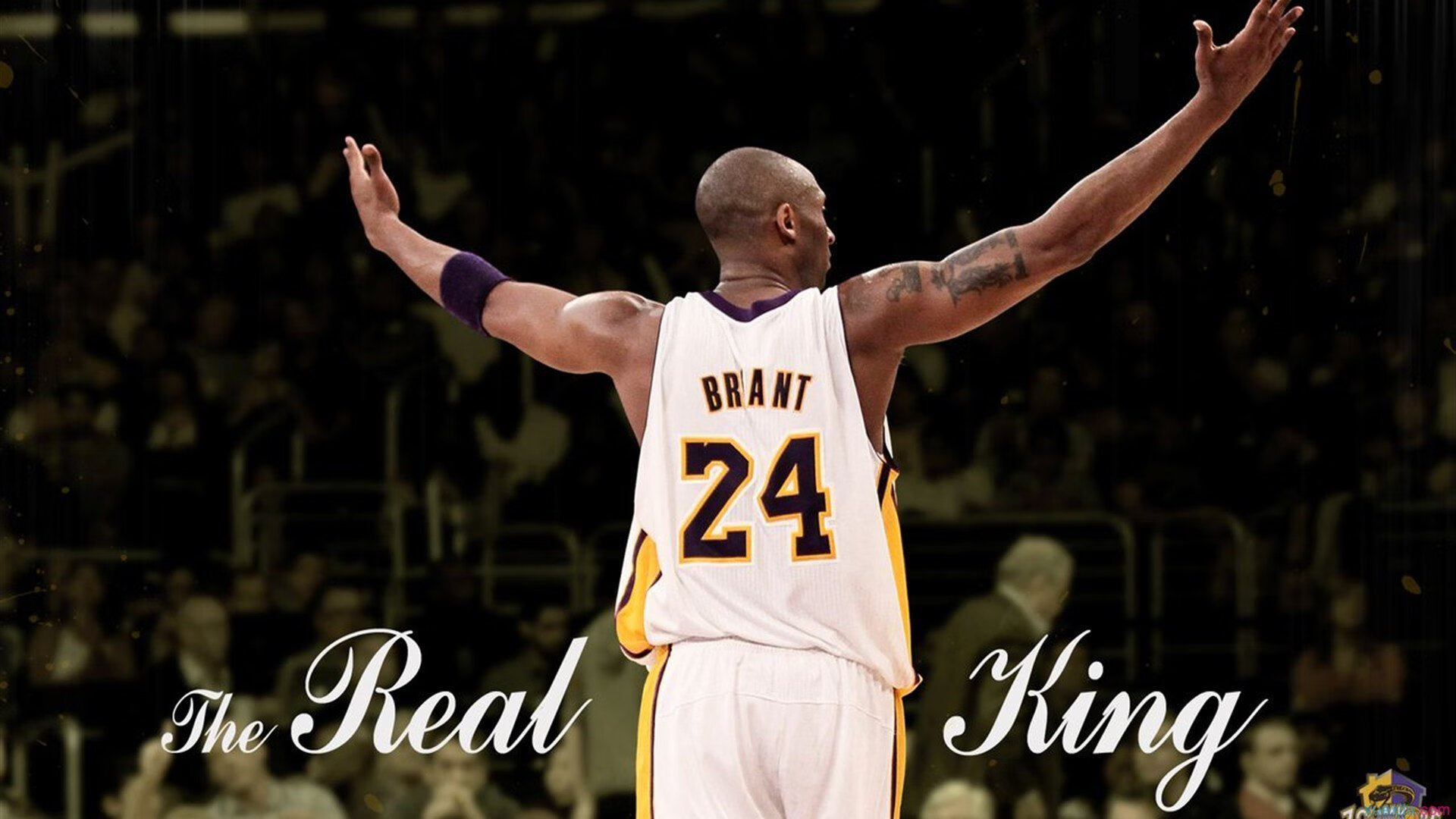 哈登连续二十场比赛得分爆表，赛况扑朔迷离，TL掀起篮球狂潮挑战极限！-九游娱乐app下载